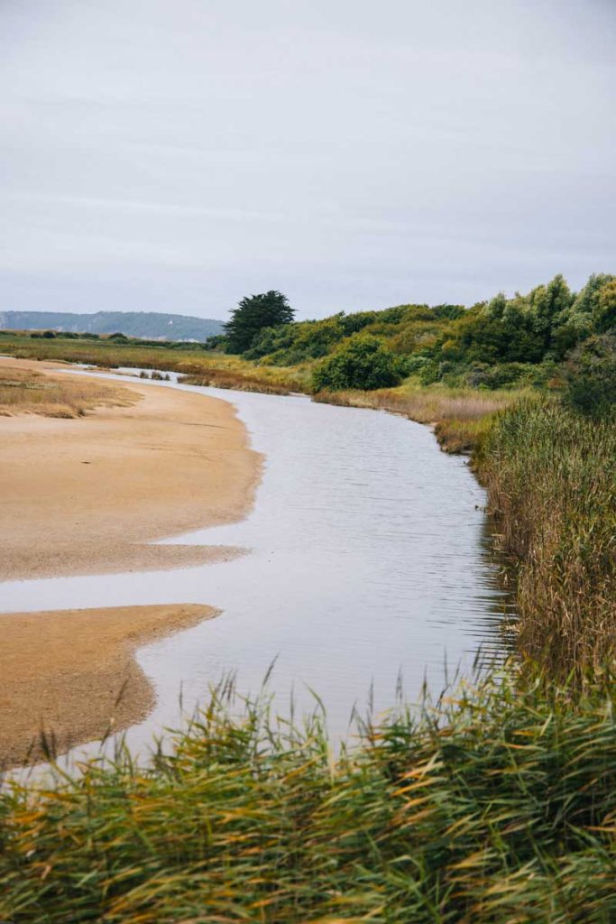 Le marais de l'aber sur le GR34 en randonnée. crédit photo : Clara Ferrand - blog Wildroad