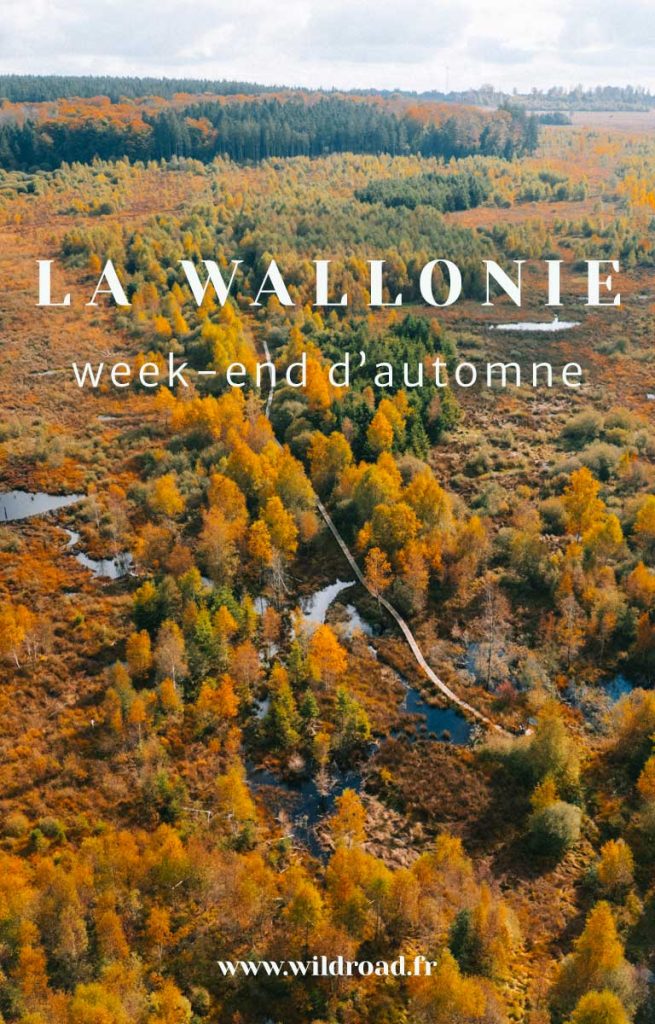 Découvrir la Wallonie lors d'un week-end d'automne. crédit photo : Clara Ferrand - blog Wildroad #wallonie #belgique #brameducerf #champignons #rando