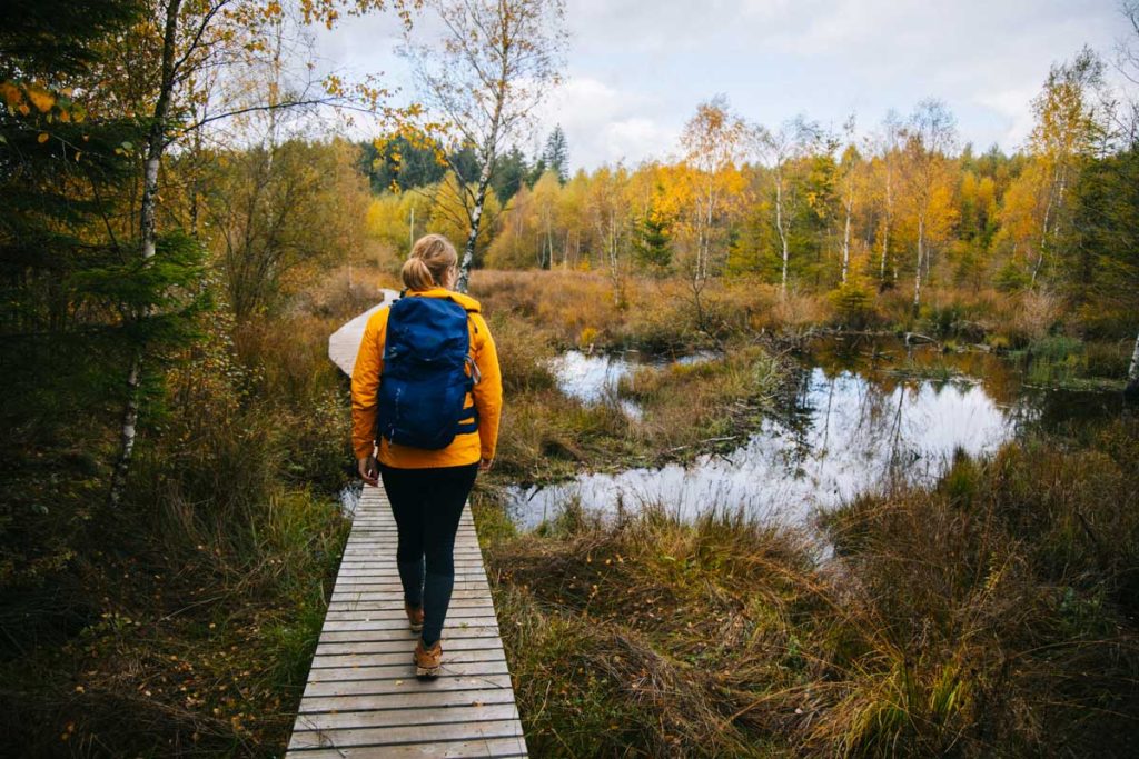 Le plateau des tailles et la fagne d'odeigne à l'automne. crédit photo : Clara Ferrand - blog Wildroad