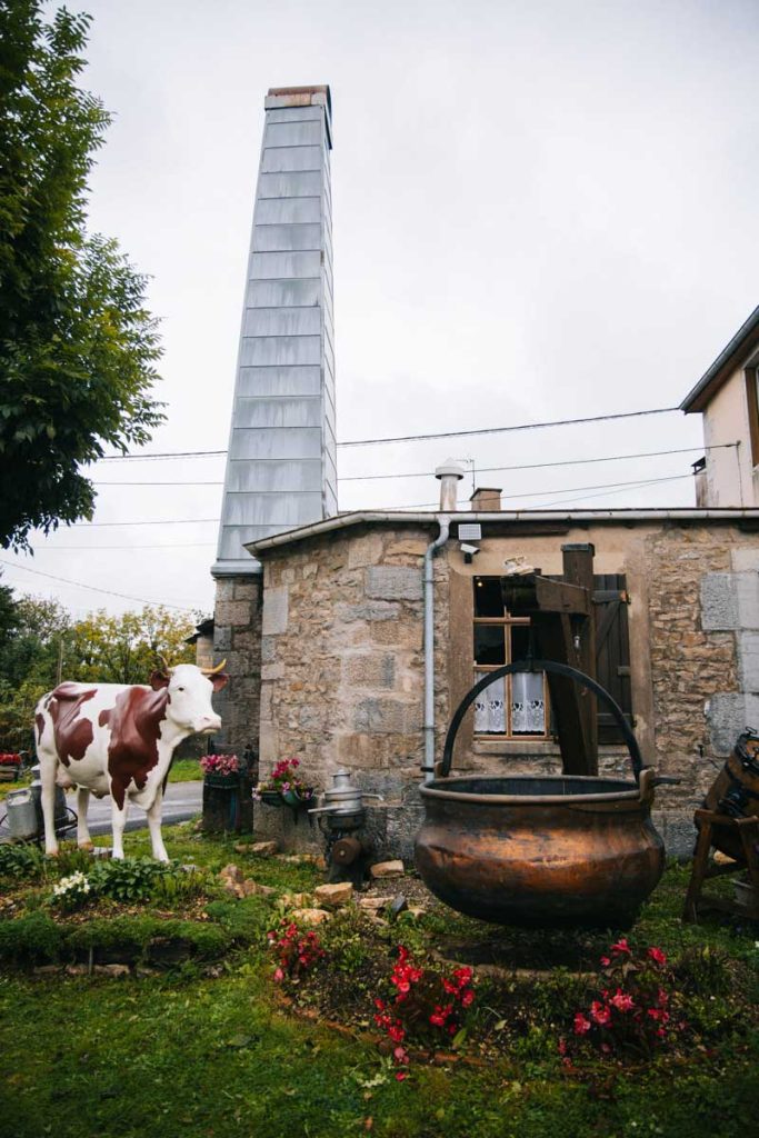 Visiter les montagnes du jura : la fromagerie musée du Trépot. crédit photo : Clara Ferrand - blog Wildroad