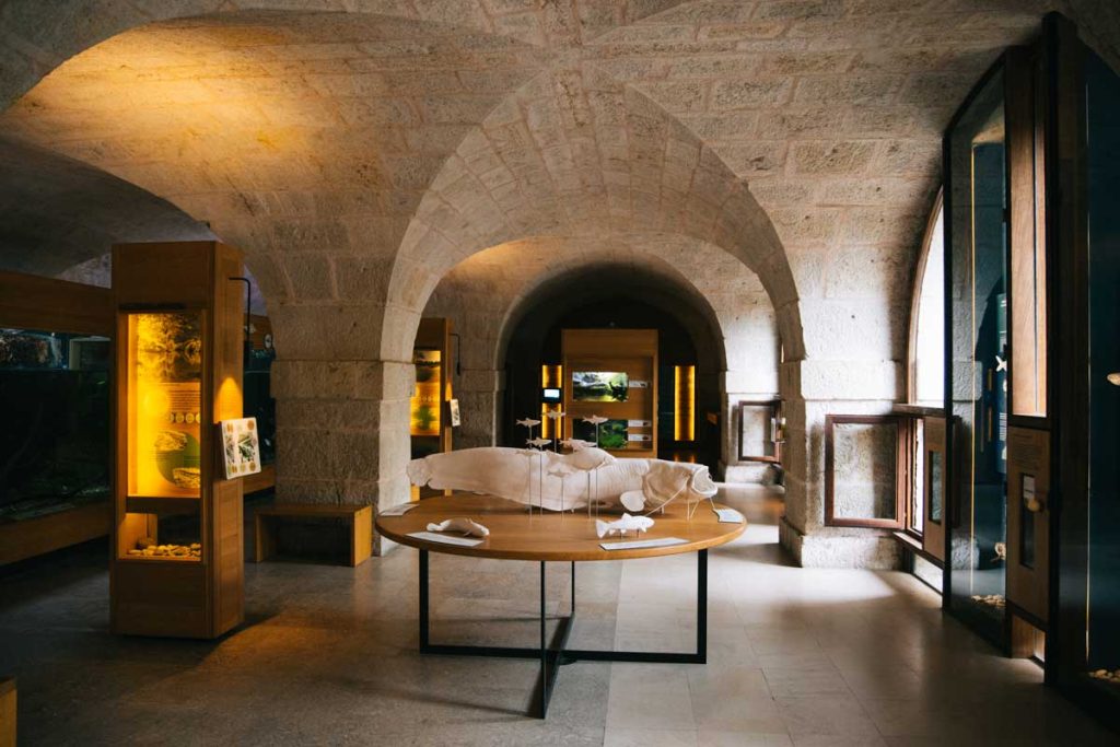 Les différents musée à l'intérieur du fort Vauban de Besançon. crédit photo : Clara Ferrand - blog Wildroad