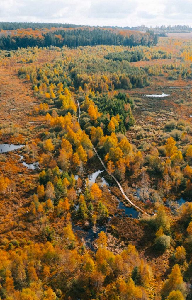 Randonnée d'automne en Wallonie sur le plateau des Tailles. crédit photo : Clara Ferrand - blog Wildroad