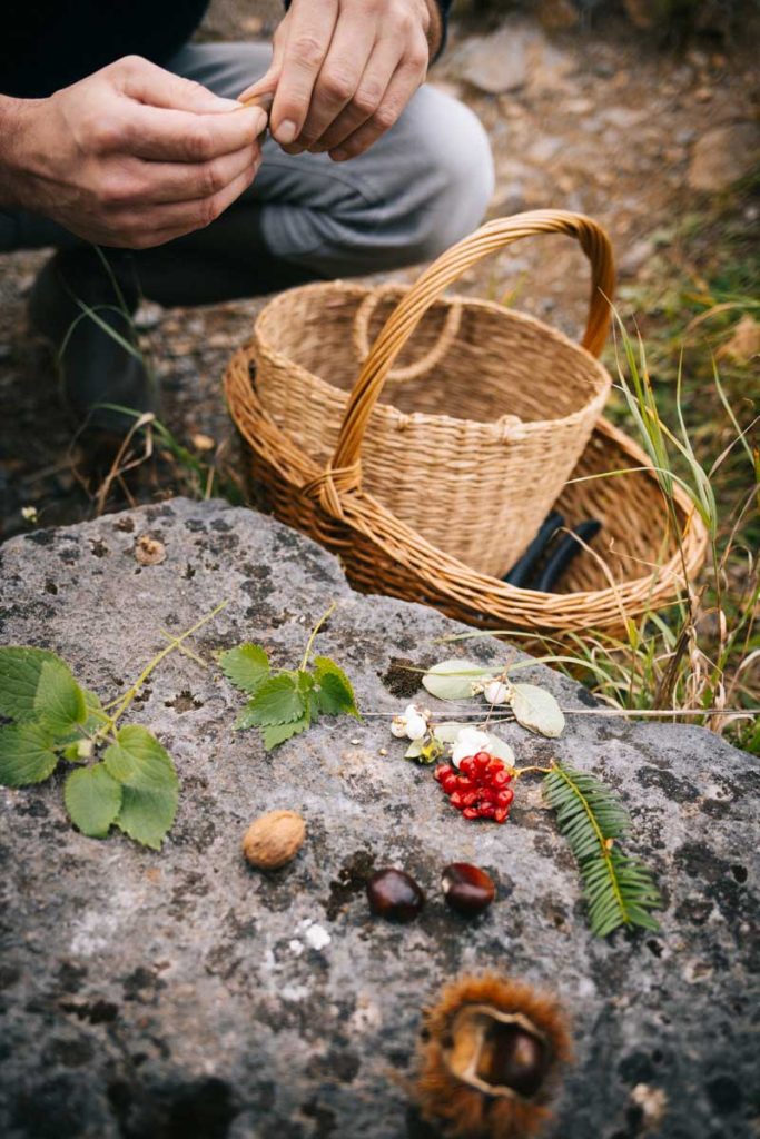 Une sortie cueillette de petits fruits d'automne aux portes de nAMUR AVEC cuisine Sauvage. crédit photo : Clara Ferrand - blog Wildroad