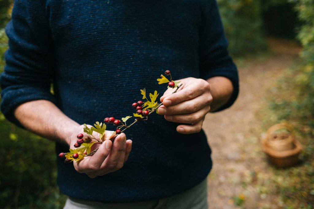 Sortie en nature pour une cueillette de petits fruits d'automne. crédit photo : Clara Ferrand - blog Wildroad
