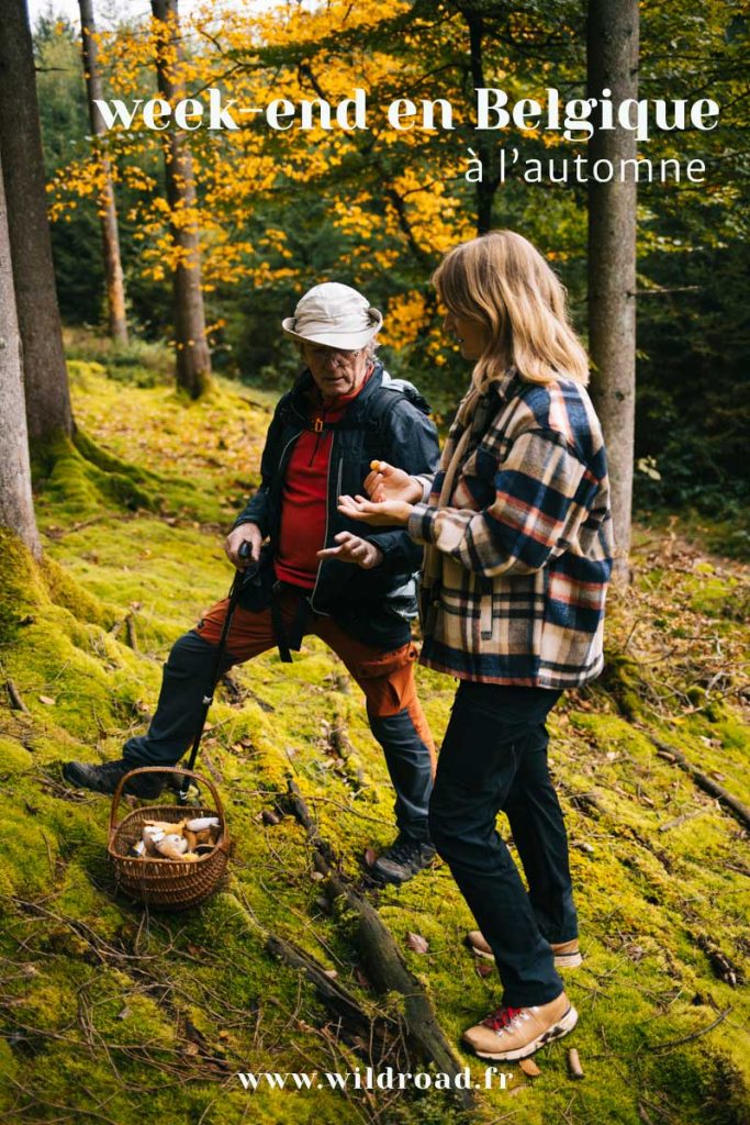 Que faire lors d'un week end en belgique à al'utomne. crédit photo : Clara Ferrand - blog Wildroad #wallonie #belgique #brameducerf #champignons #rando