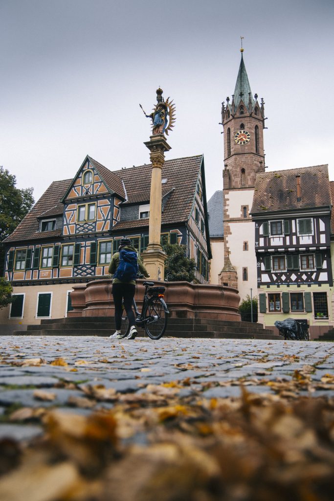 heidelberg besancon