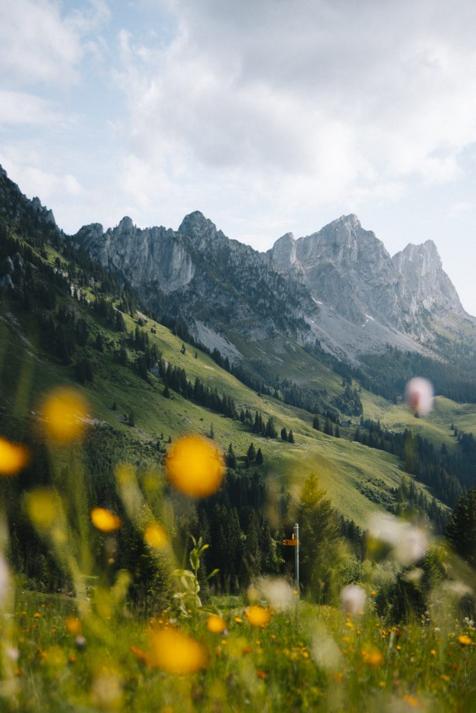 tour gastlosen suisse