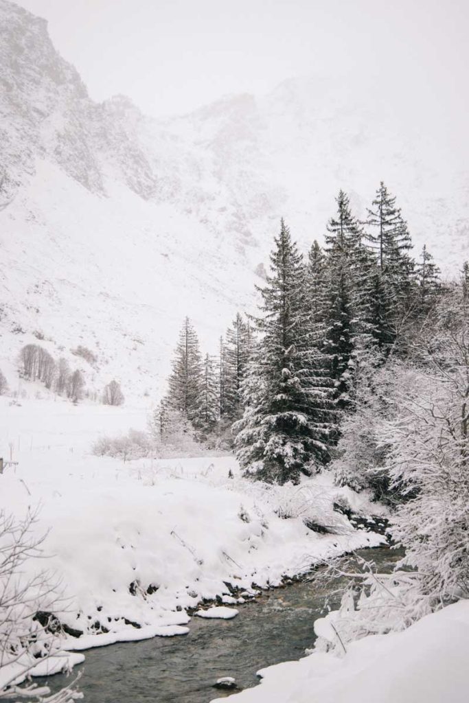 Le paysage enneigé à Champagny-le-haut