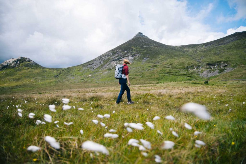 Les bogs et tourbiere lorsqu'on randonne en Irlande du nord. crédit photo : Clara Ferrand - blog Wildroad