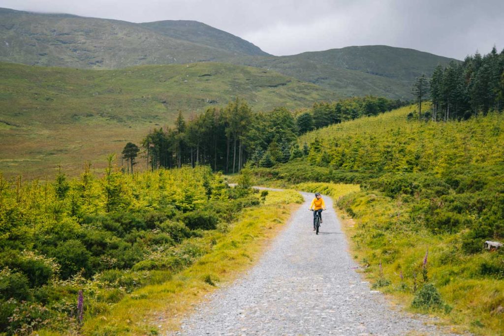 faire une sortie en e-bike vtt pour faire le tour de Tollymore forest park. crédit photo : Clara Ferrand - blog Wildroad