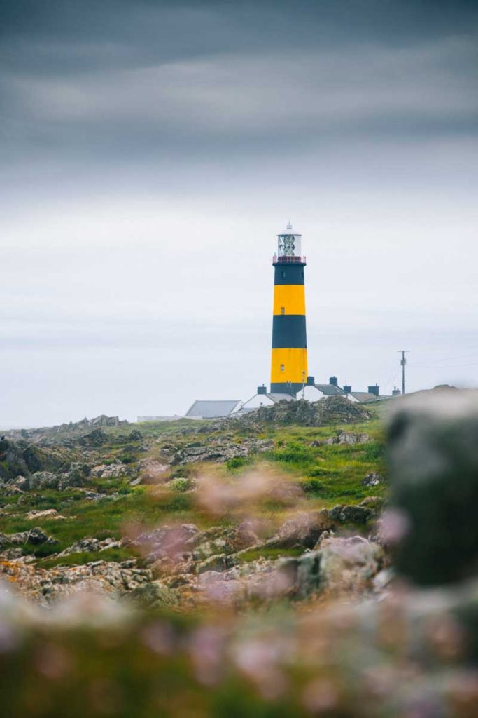 Se balade autour de St John's Point pour découvrir son phare jaune et noir. crédit photo : Clara Ferrand - blog Wildroad